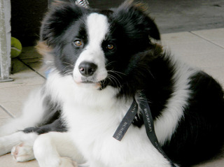 DSCN0033.jpg