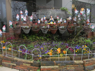 DSCN2941.JPG