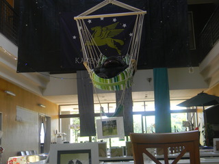 DSCN3414.JPG