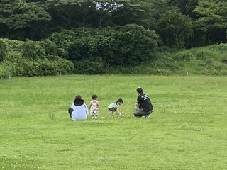 IMG_0253.JPG